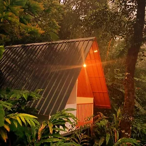  Homestay Teadrops Plantation India